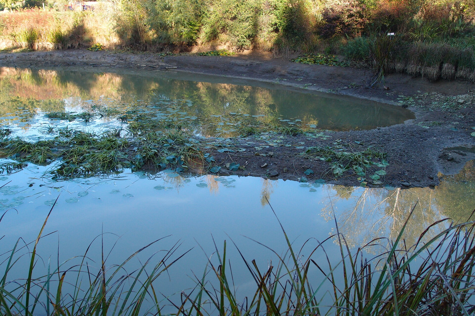 Galeriebild: PA183103